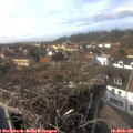 15_05-nest.jpg