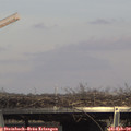 15_10-mast.jpg