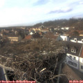 15_10-nest.jpg