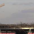 15_15-mast.jpg