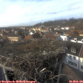 15_15-nest.jpg