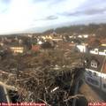 15_20-nest.jpg