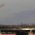 15_25-mast.jpg