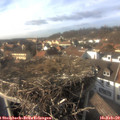15_25-nest.jpg