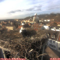 15_30-nest.jpg