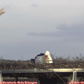 15_45-mast.jpg
