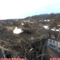 15_45-nest.jpg