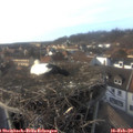 15_50-nest.jpg
