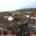15_55-nest.jpg