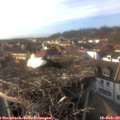 16_00-nest.jpg