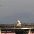 16_05-mast.jpg
