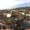 16_05-nest.jpg
