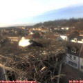 16_10-nest.jpg