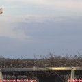 16_30-mast.jpg