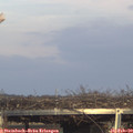 16_35-mast.jpg