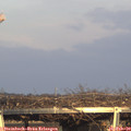 16_45-mast.jpg