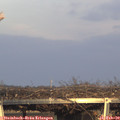 16_50-mast.jpg
