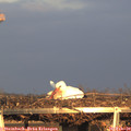 17_05-mast.jpg