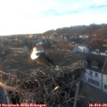 17_15-nest.jpg