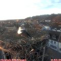 17_20-nest.jpg