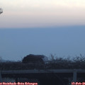 07_35-mast.jpg