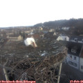 07_35-nest.jpg