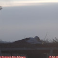 08_10-mast.jpg