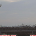 08_40-mast.jpg