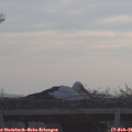 08_55-mast.jpg