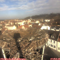 09_55-nest.jpg