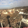 10_00-nest.jpg