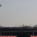 10_05-mast.jpg