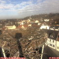 10_05-nest.jpg