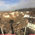 10_10-nest.jpg