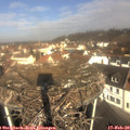 10_15-nest.jpg