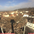 10_20-nest.jpg