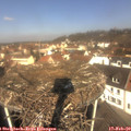 10_55-nest.jpg