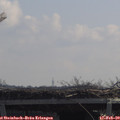 11_10-mast.jpg