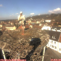 11_25-nest.jpg