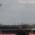 11_45-mast.jpg