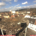 11_45-nest.jpg