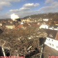 12_10-nest.jpg