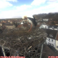 12_20-nest.jpg