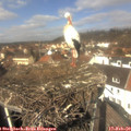 12_25-nest.jpg