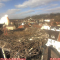 12_35-nest.jpg