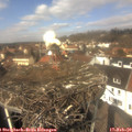 12_40-nest.jpg