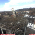 12_45-nest.jpg