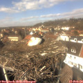 12_55-nest.jpg