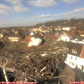 13_00-nest.jpg