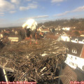 13_05-nest.jpg